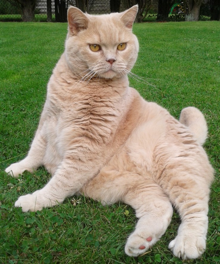 2012-08-05 17.35.57bew